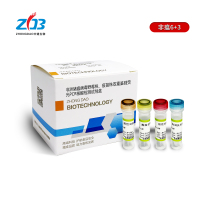 P1731非洲猪瘟病毒野毒株、疫苗株双重鉴别荧光PCR核酸检测试剂盒