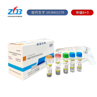 P1724非洲猪瘟病毒恒温荧光扩增快速检测试剂盒